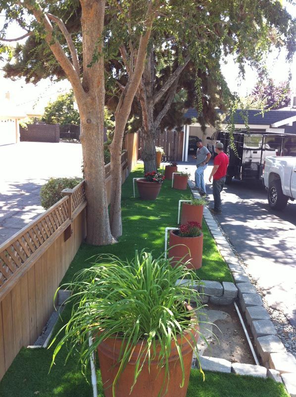 Tree-lined sidewalk with potted plants beside parked trucks and a person walking