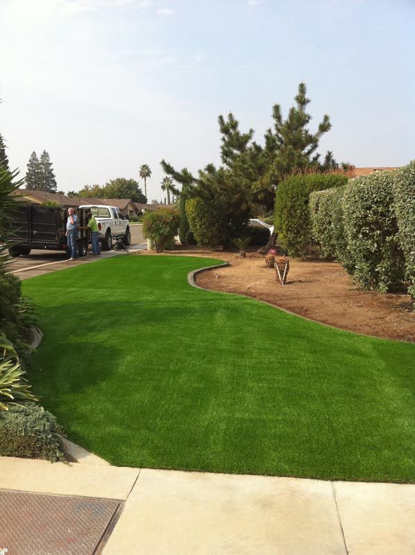 Backyard lawn with curved hedge, trees, and a dog near the path