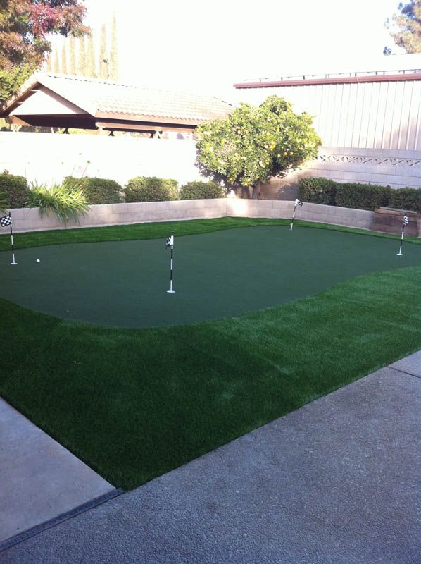 Small backyard putting green bordered by concrete and shrubs, with two putters on the turf.
