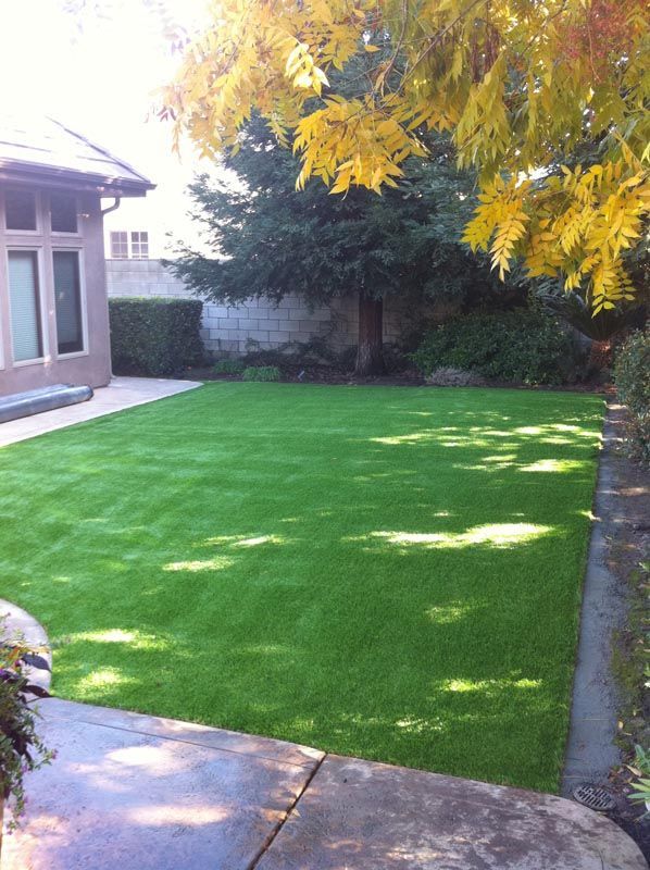 A small green backyard lawn beside a patio, with a tree and autumn leaves overhead.