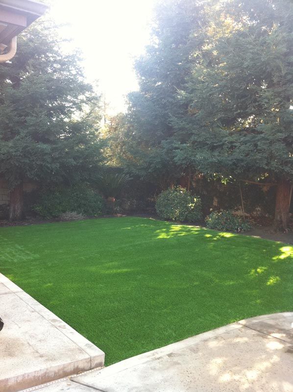 Sunlit backyard with a bright green lawn, tall trees, and stone patio edges