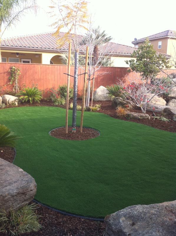 Backyard garden with a circular green lawn, young trees, and a red wooden fence behind shrubs.