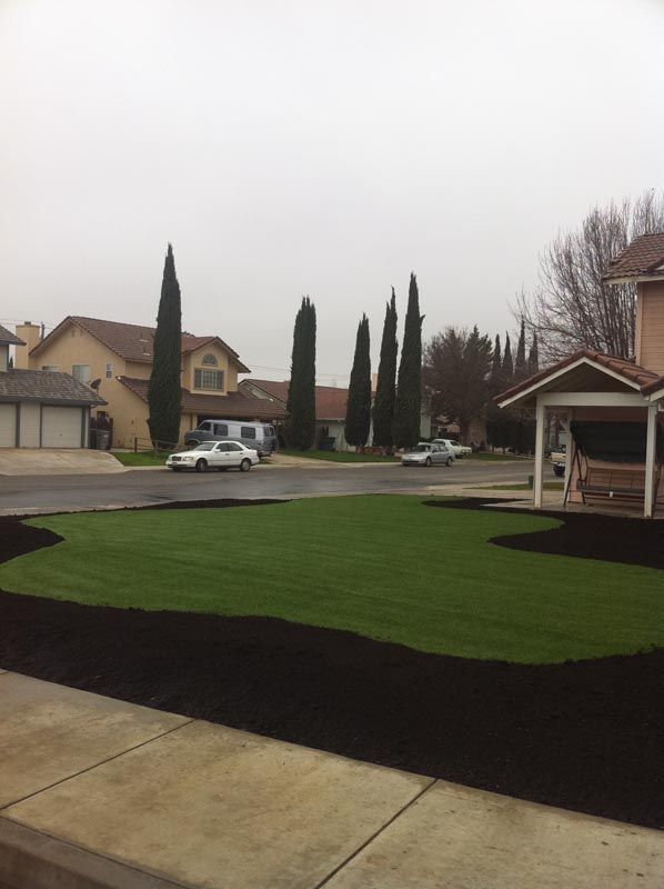Suburban street with a green lawn, black mulch beds, tall cypress trees, and houses under an overcast sky