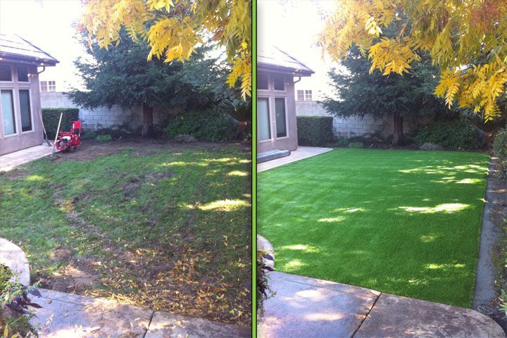 Backyard lawn comparison: patchy grass before, lush green lawn after, beside a house and trees.