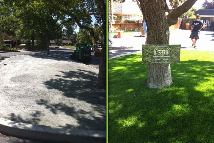 Split view of a shady road and a tree in a sunny park with a sign attached to its trunk