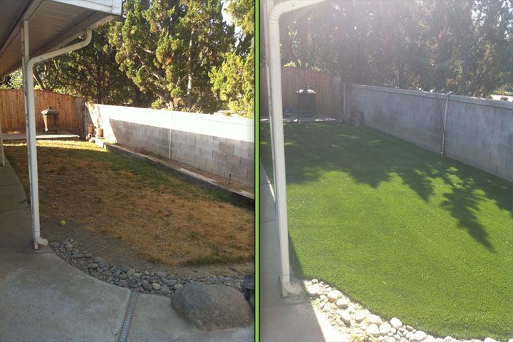 Backyard lawn comparison: dry patchy grass on left, lush green grass on right under sunlight