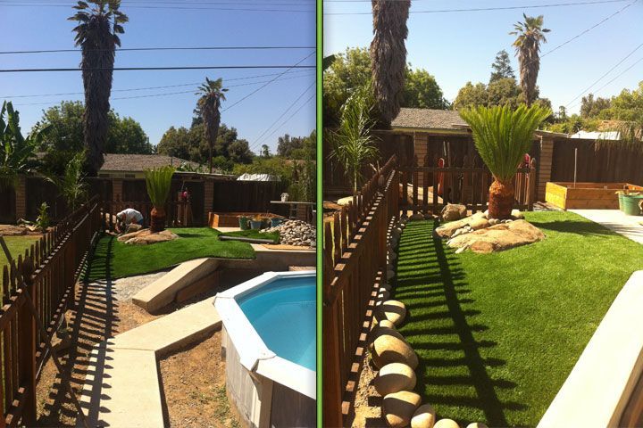 Backyard with a pool, lawn, palm trees, and wooden fence under bright sun