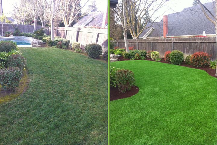 Before-and-after backyard lawn: patchy grass on left, bright green, neatly edged lawn on right.
