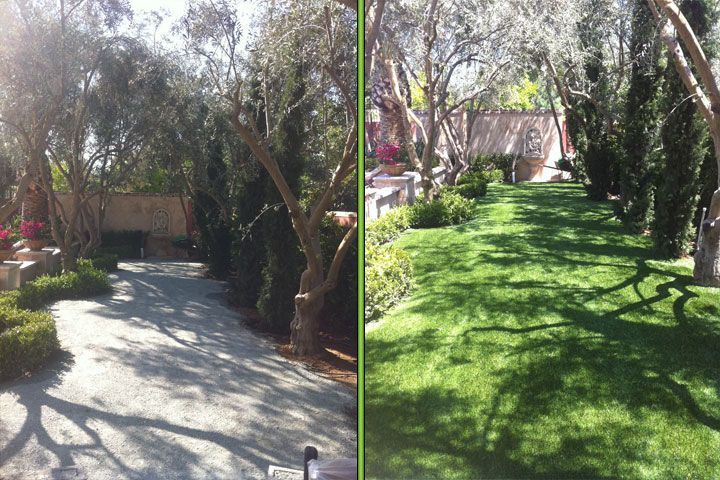 Split view of a shaded gravel path and a sunny green lawn with trees in a garden.