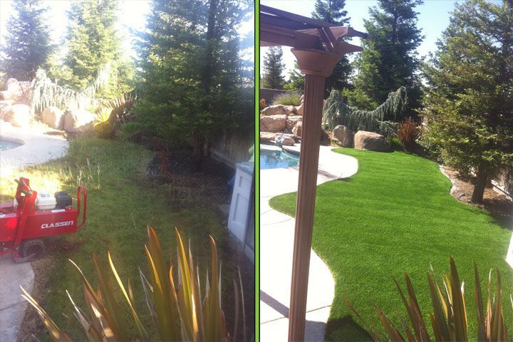 Garden with lush green lawn, poolside pergola, and evergreen trees in bright sunlight