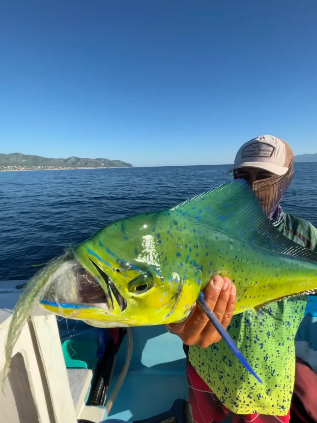 Angler holding a vibrant mahi-mahi on a boat, against a blue sea and sky.