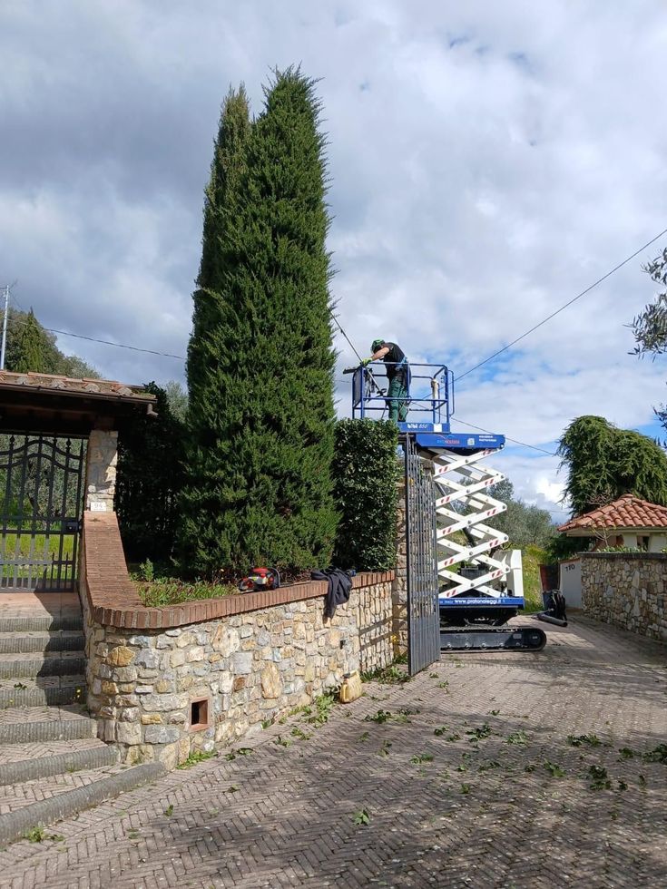 Pantografo cingolato Bibi