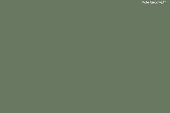 Pale Eucalypt®