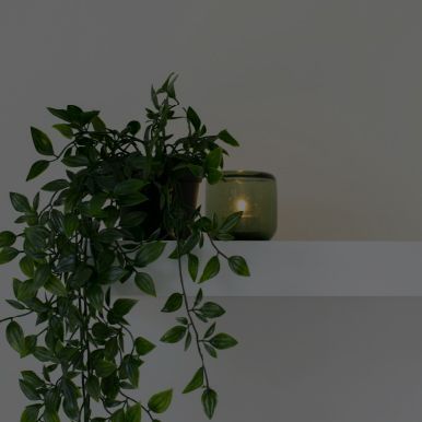 A shelf with a plant and a candle on it