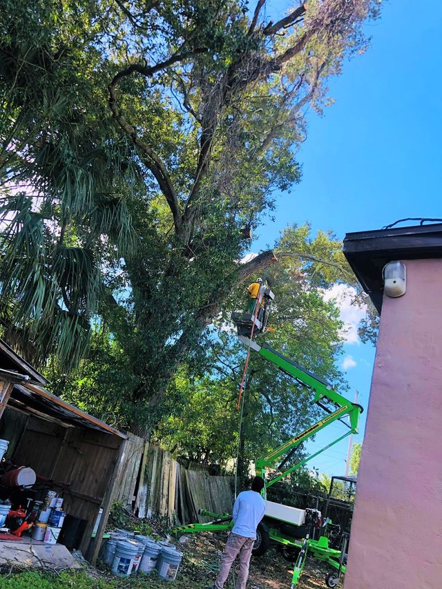 Person operating a green cherry picker beside a house under tall trees in a sunny yard Emergency Tree Services