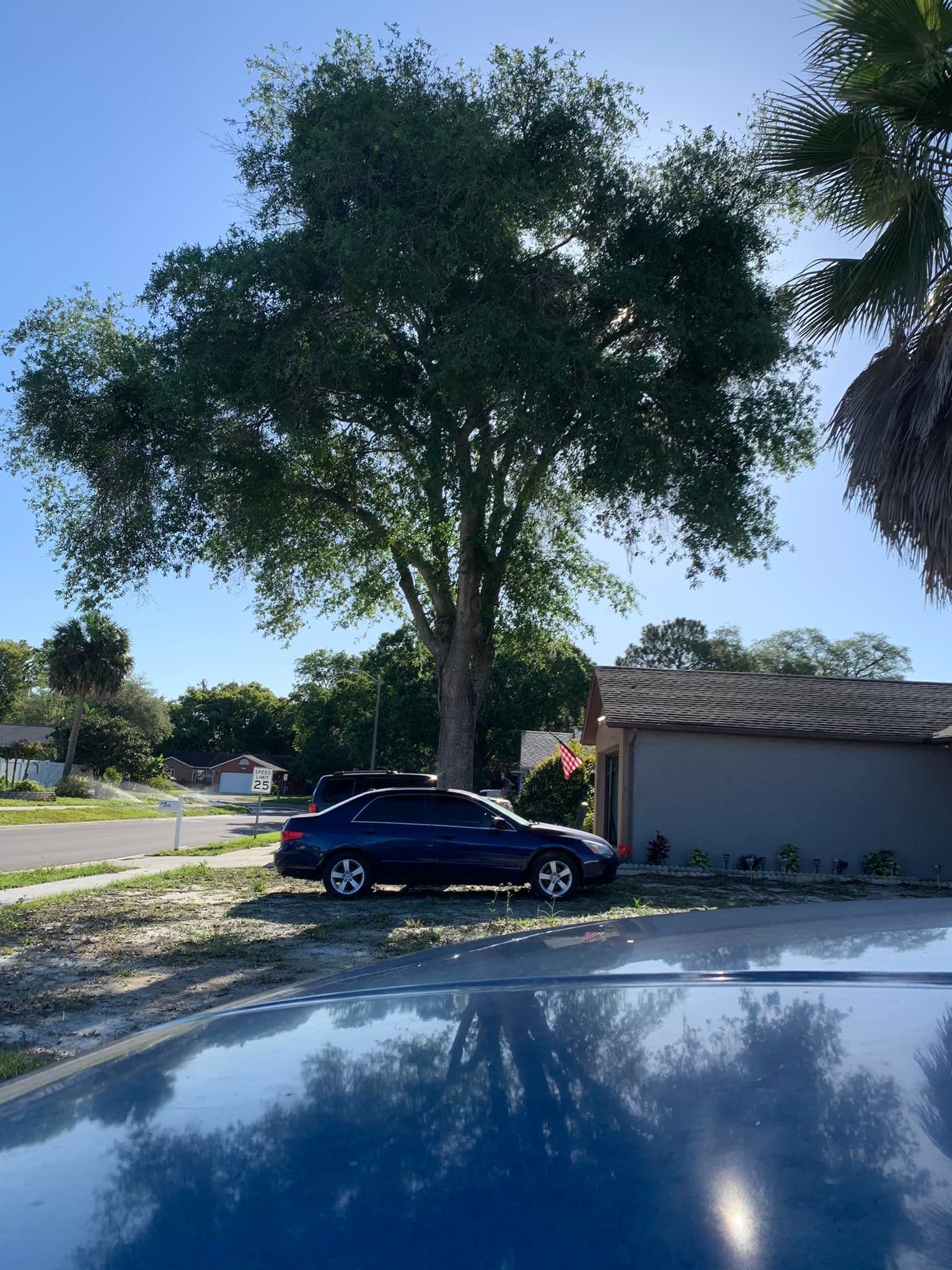 Car Parked 