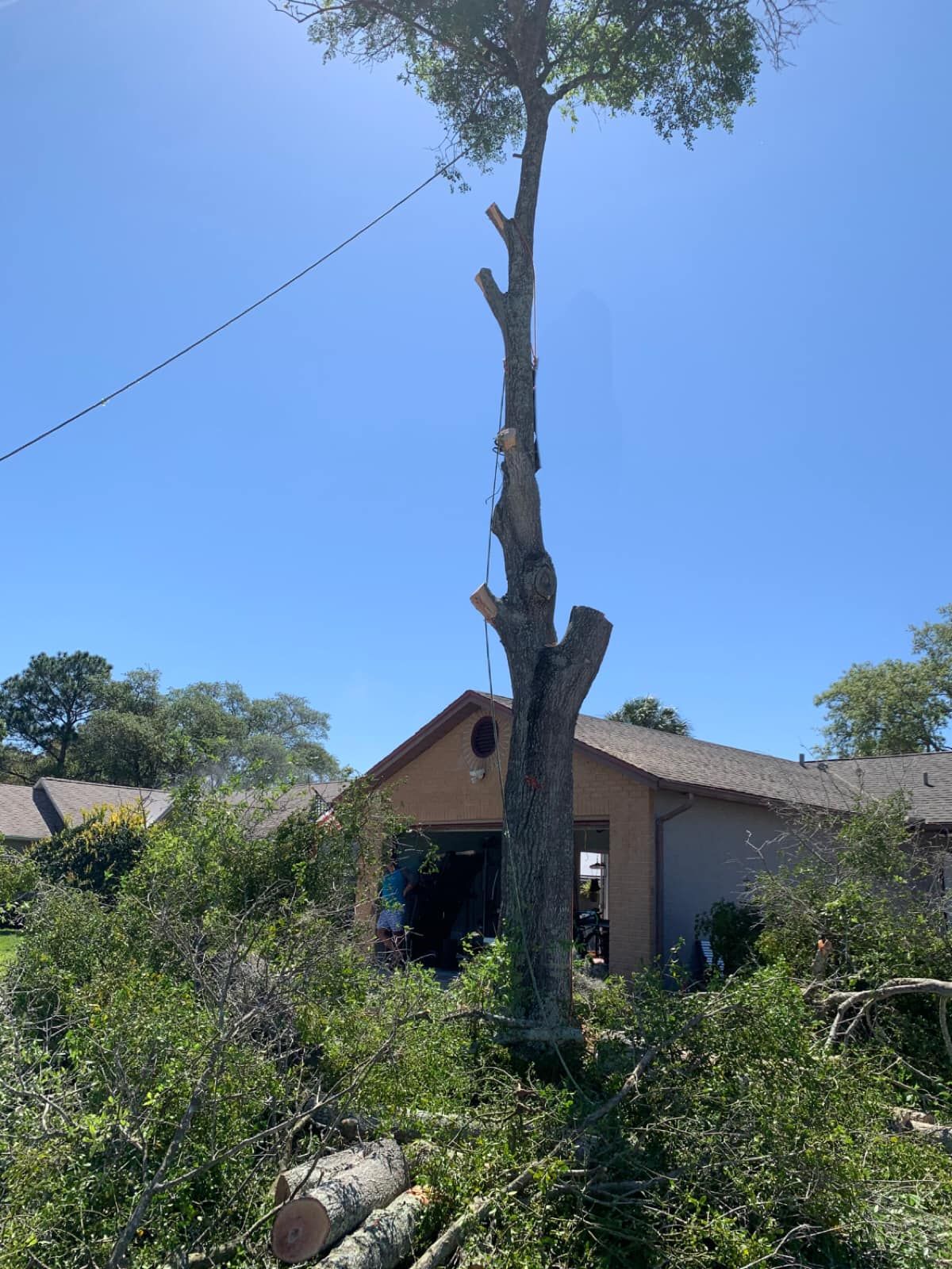 Tall tree stump in a front yard with a house and blue sky in the background Trimmed Tree