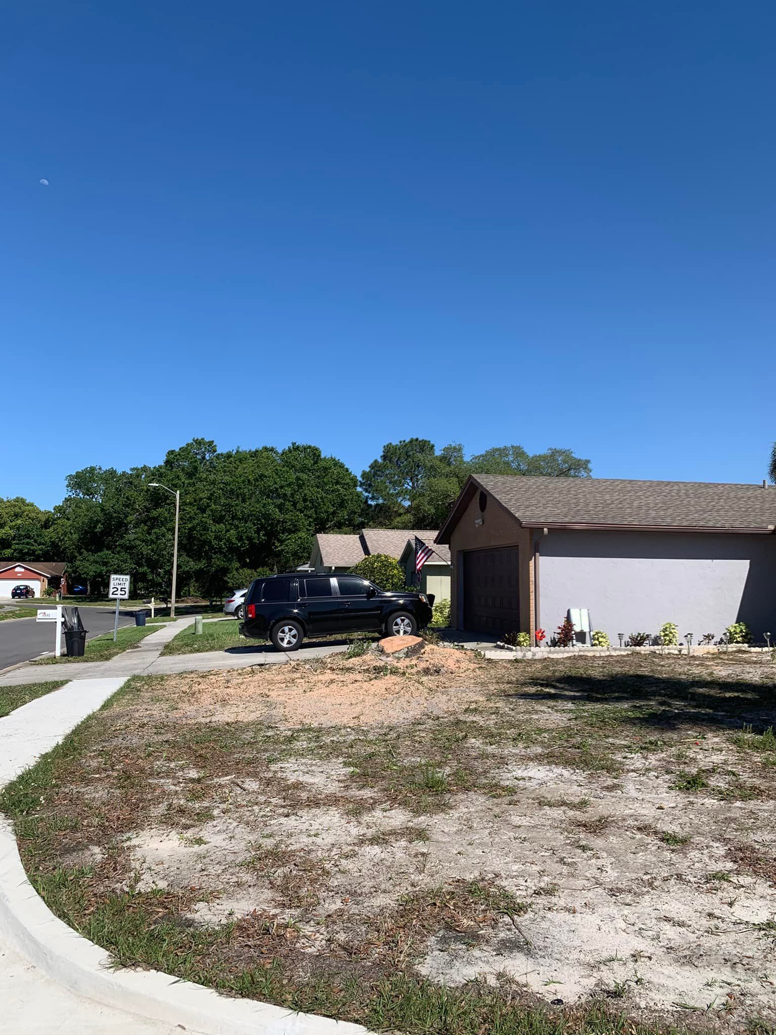 Suburban driveway with black SUV, garage, and bare patch of dirt under a clear blue sky Residential Tree Service
