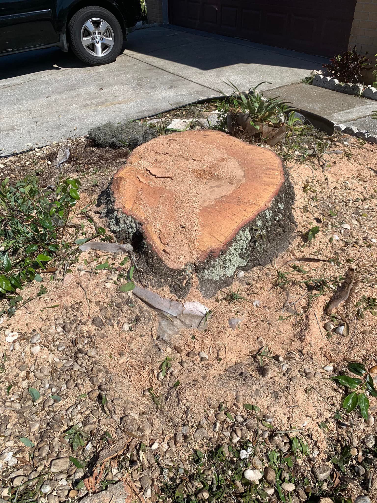 Stump Grinding 