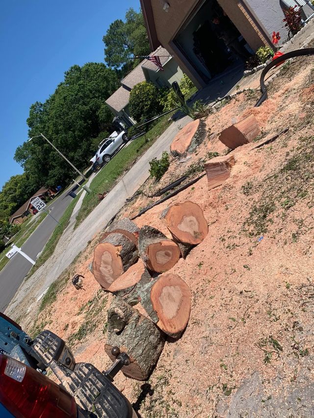Rock landscape in a front yard beside a driveway and house, with a car and trees in the background. Land Clearing