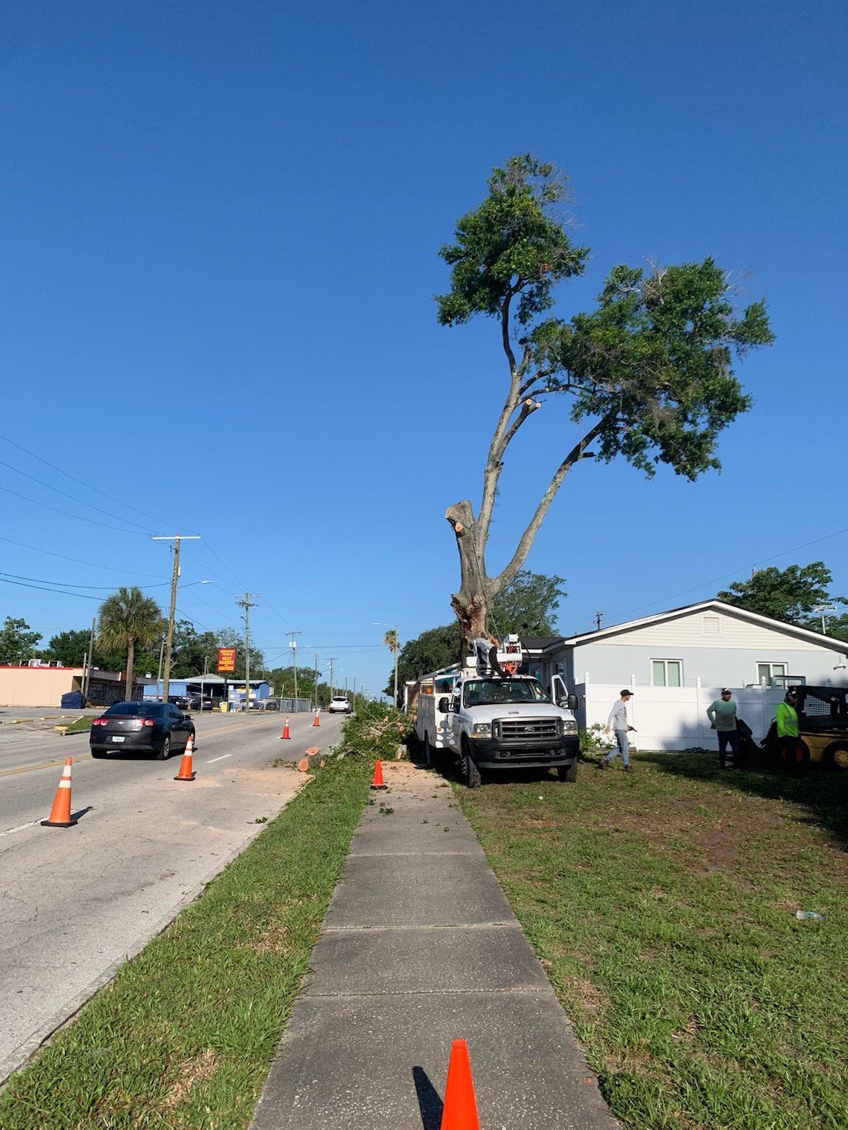 Tree-trimming truck beside a sidewalk under a leaning tree on a sunny residential street Commercial Tree Trimming