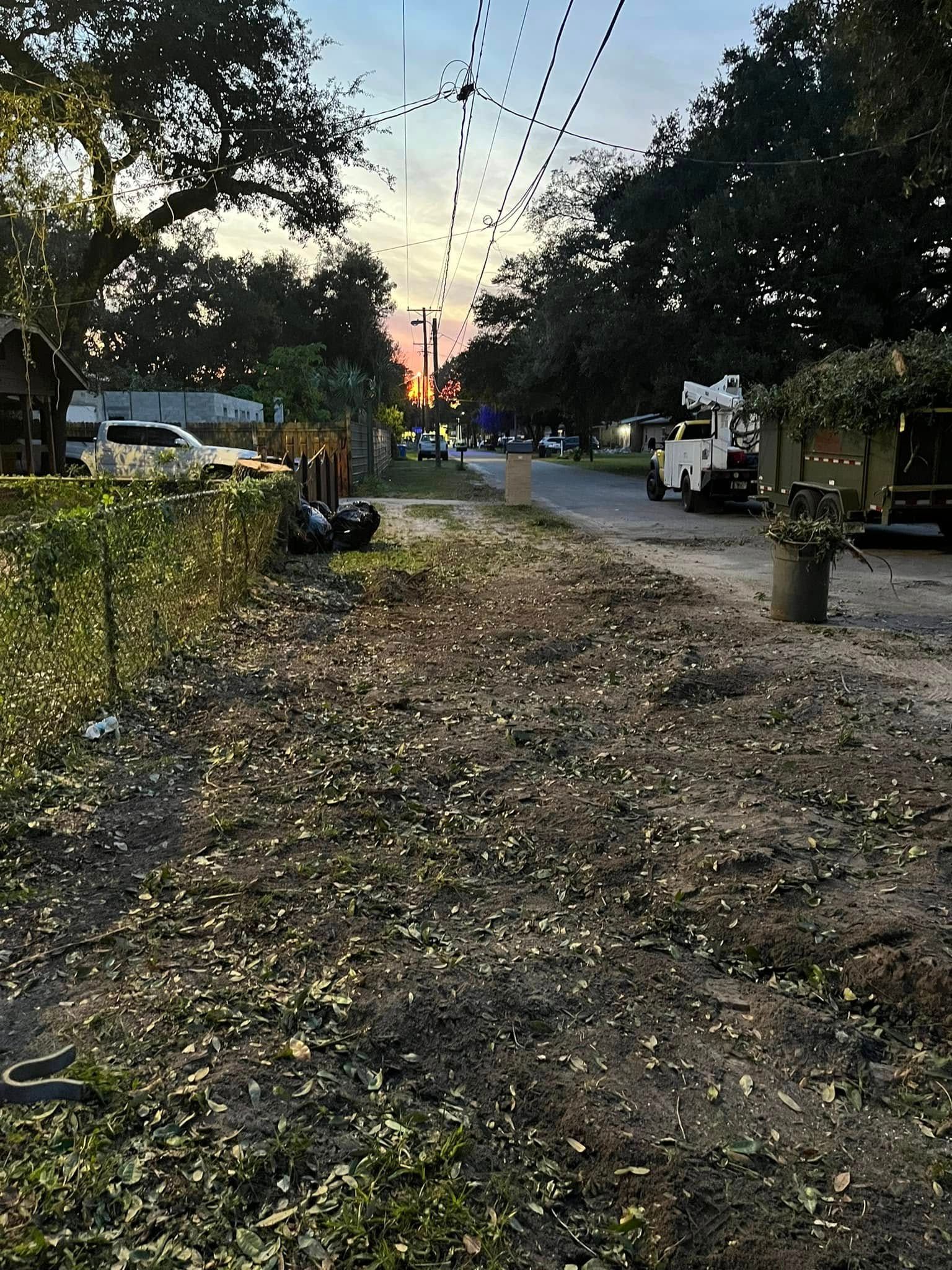 Tree-lined dirt road at dusk with parked cars, scattered leaves, and hanging string lights. After Tree Clearing