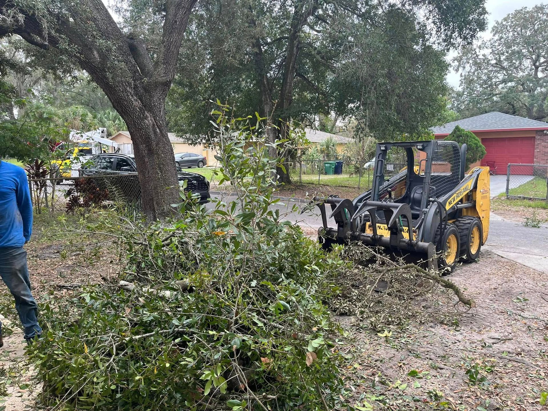 Backhoe loader clearing brush beside a large tree and gravel driveway near a red building Fallen Tree