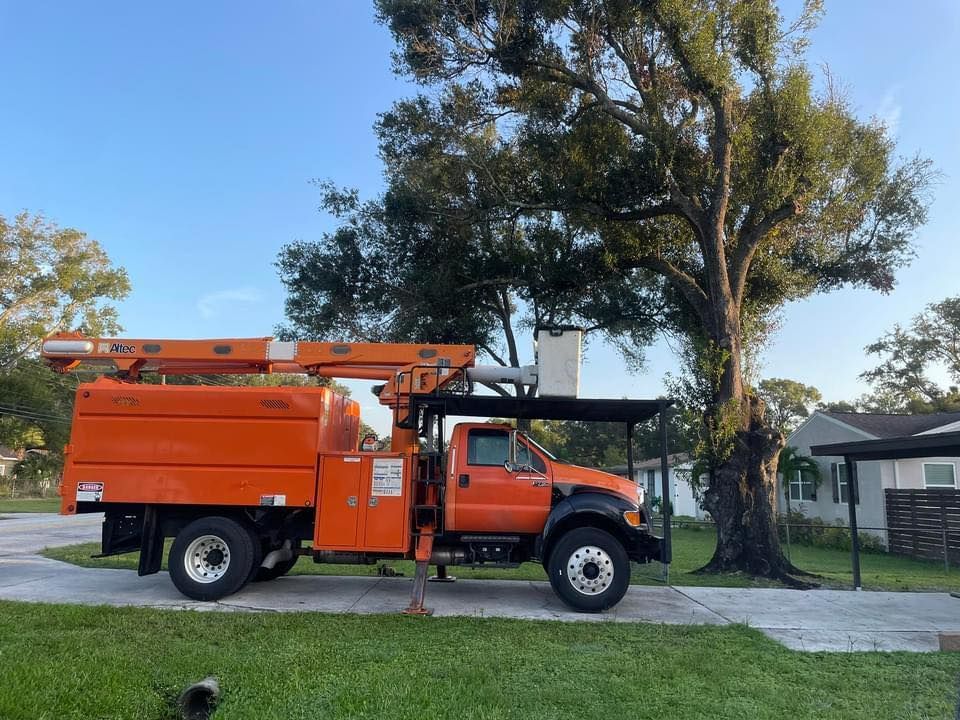 Utility Truck Tree