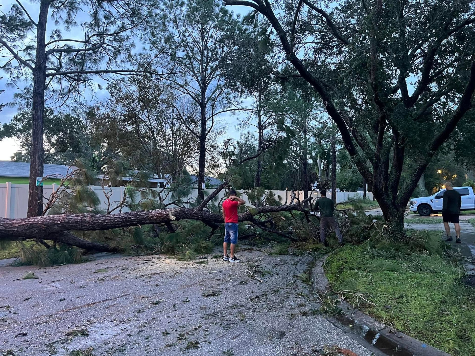 Fallen Tree Damage