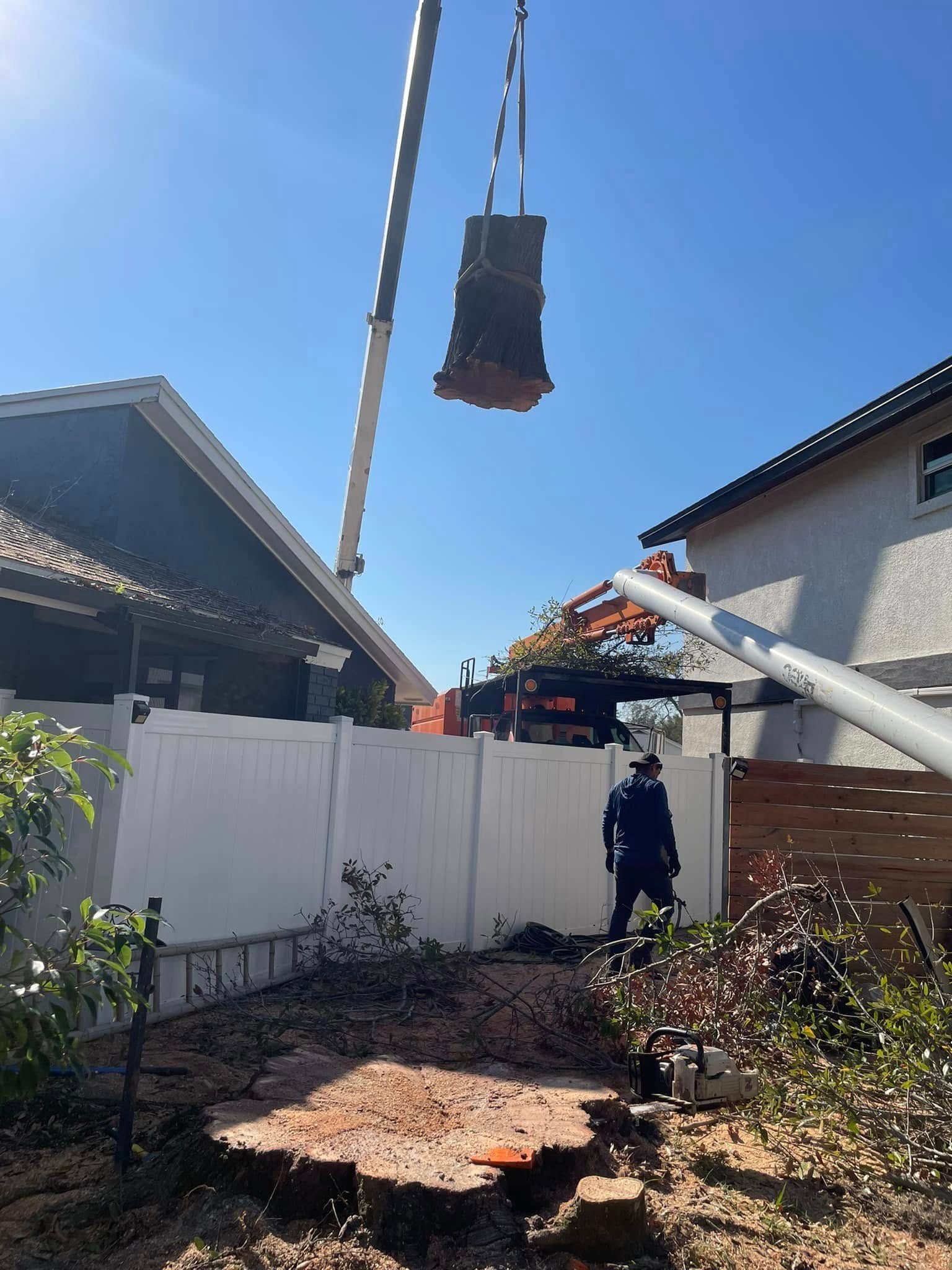 Excavator Lifting Stump