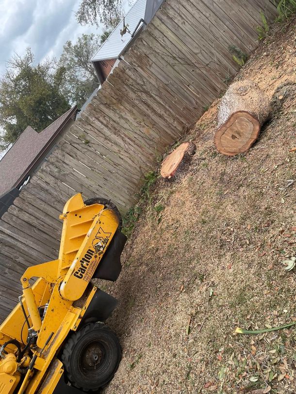 Yellow construction machine beside a wooden fence, with two cut tree stumps on gravel. Stump Grinding & Removal
