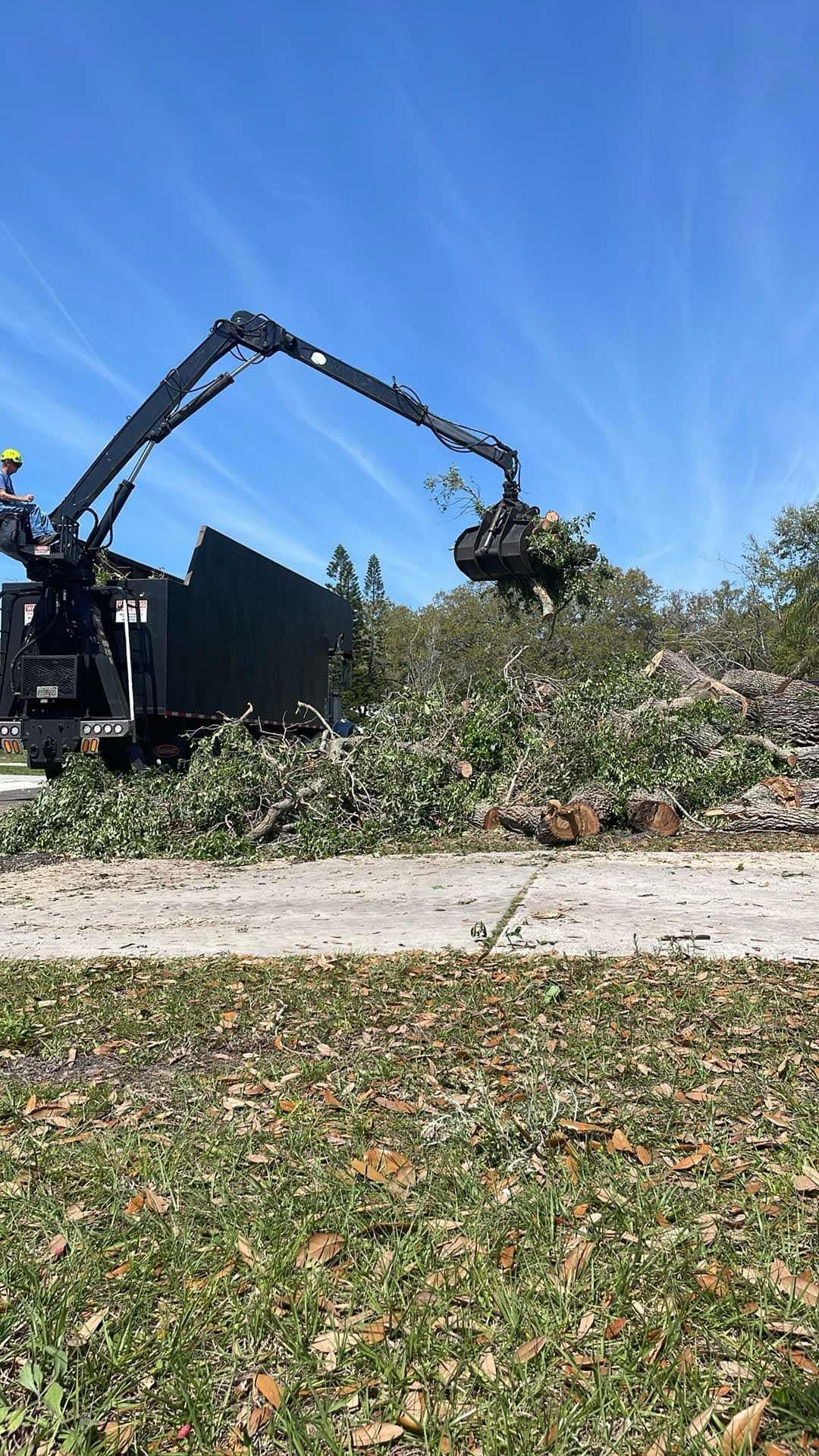 Excavator Clearing Brush