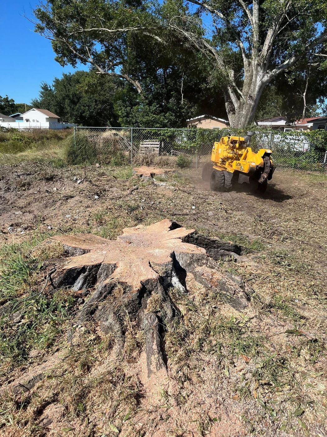 Tree stump in a yard with a pile of burning debris and a large tree in the background. Land Clearing