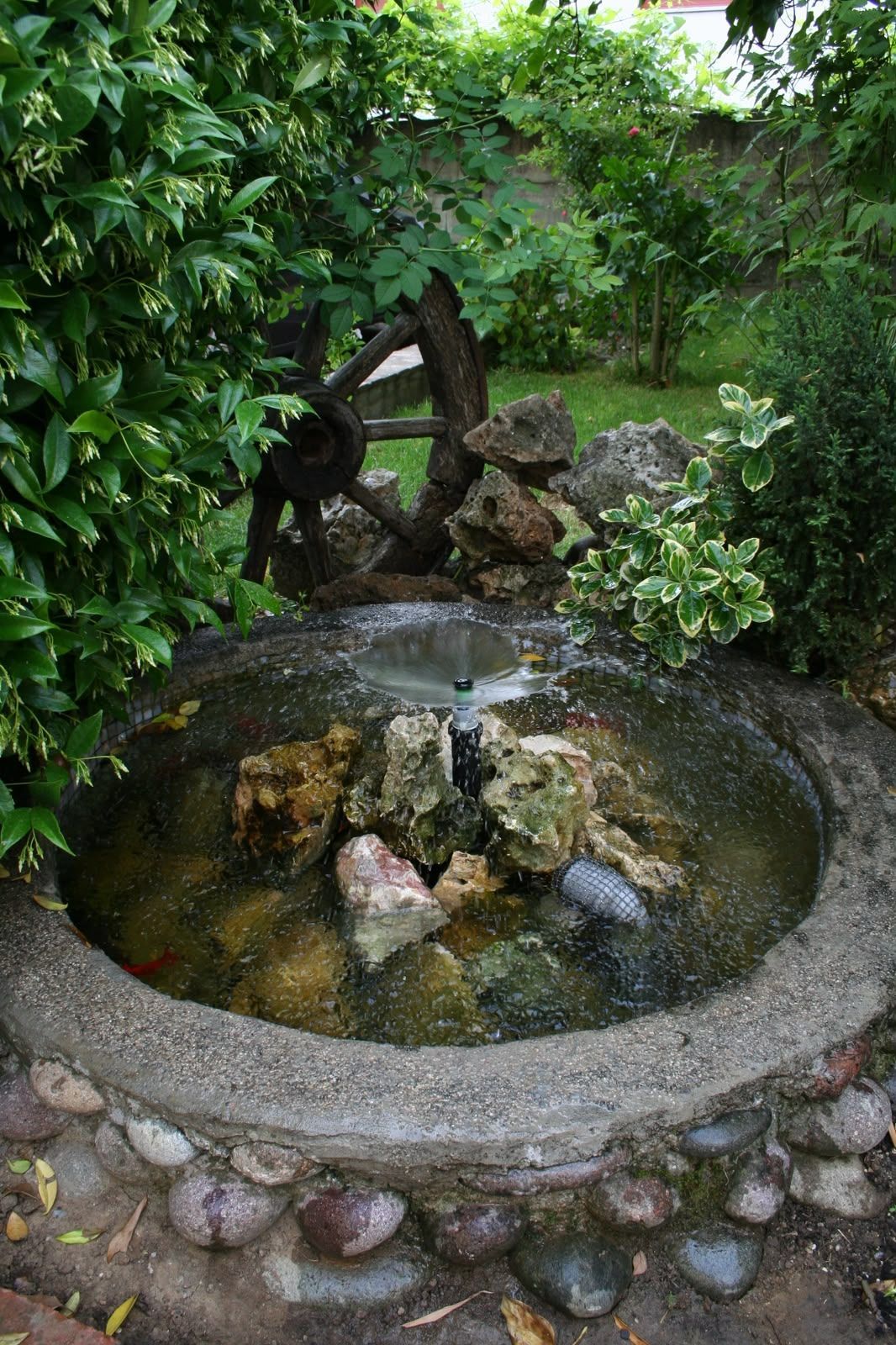 Laghetto da giardino circolare in pietra, con acqua, rocce e rigogliose piante verdi tutt’intorno