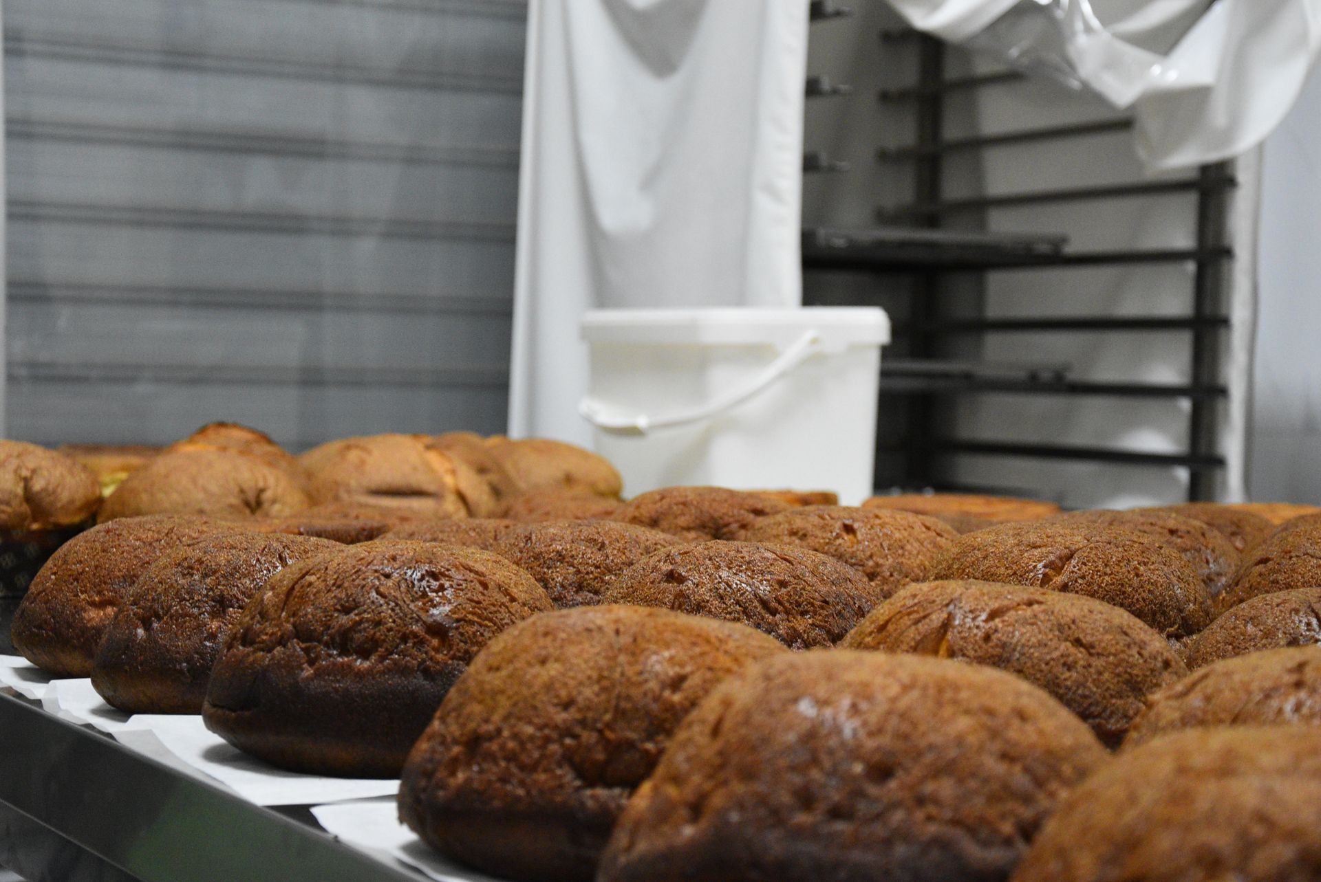 panettone 8