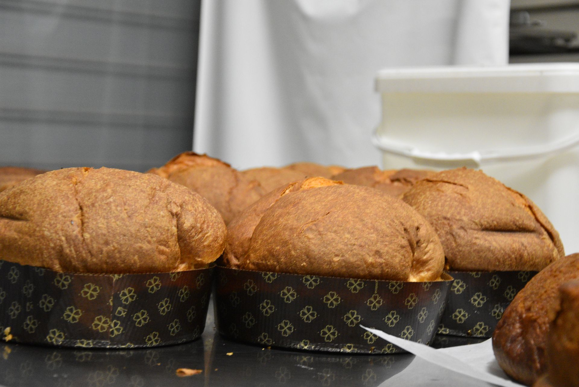 panettone 7