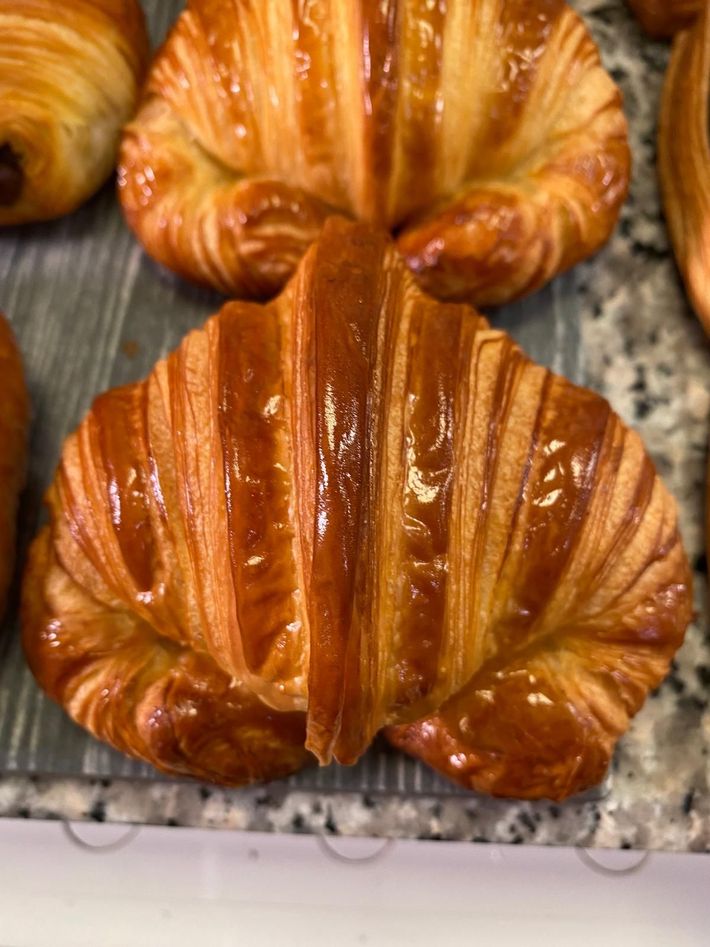 panettone