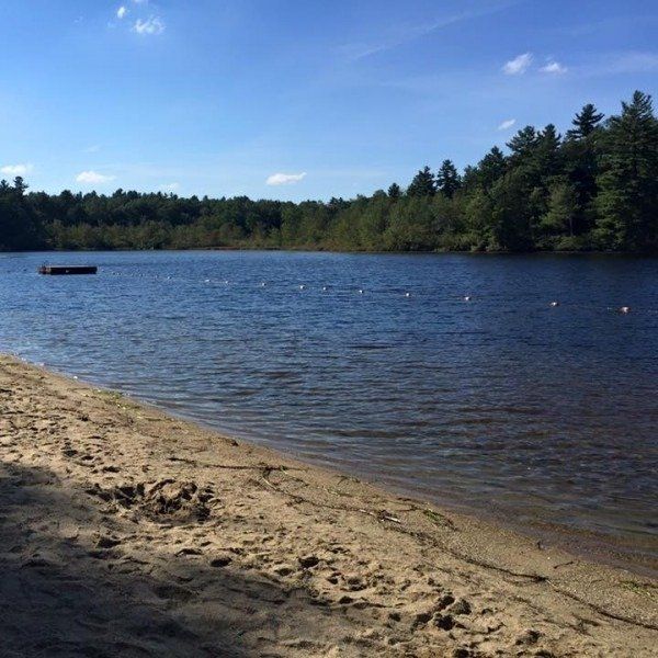 Sandy lakeshore with calm blue water, distant trees, and a clear sky