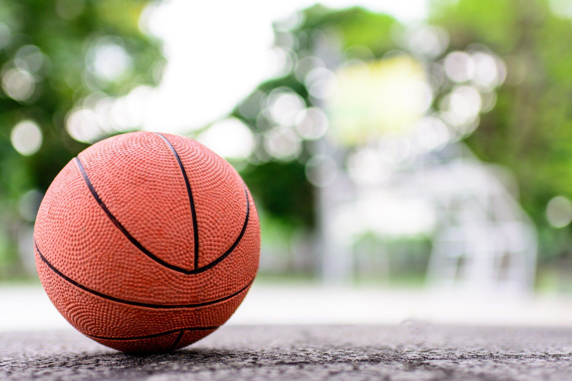 Basketball resting on pavement with blurred outdoor greenery in the background