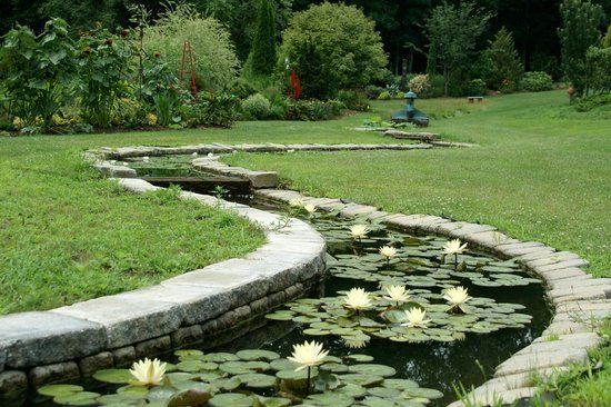 Curved stone pond with lily pads and flowers in a lush green garden