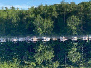 A line of white boats moored on a calm lake, reflecting a green forested shoreline.