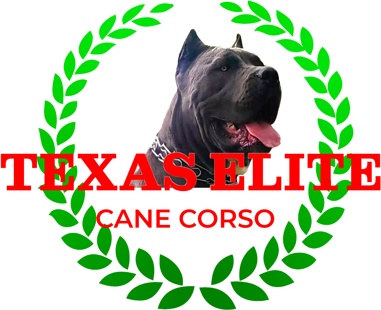 Dog Breeder Nationwide 4099889131