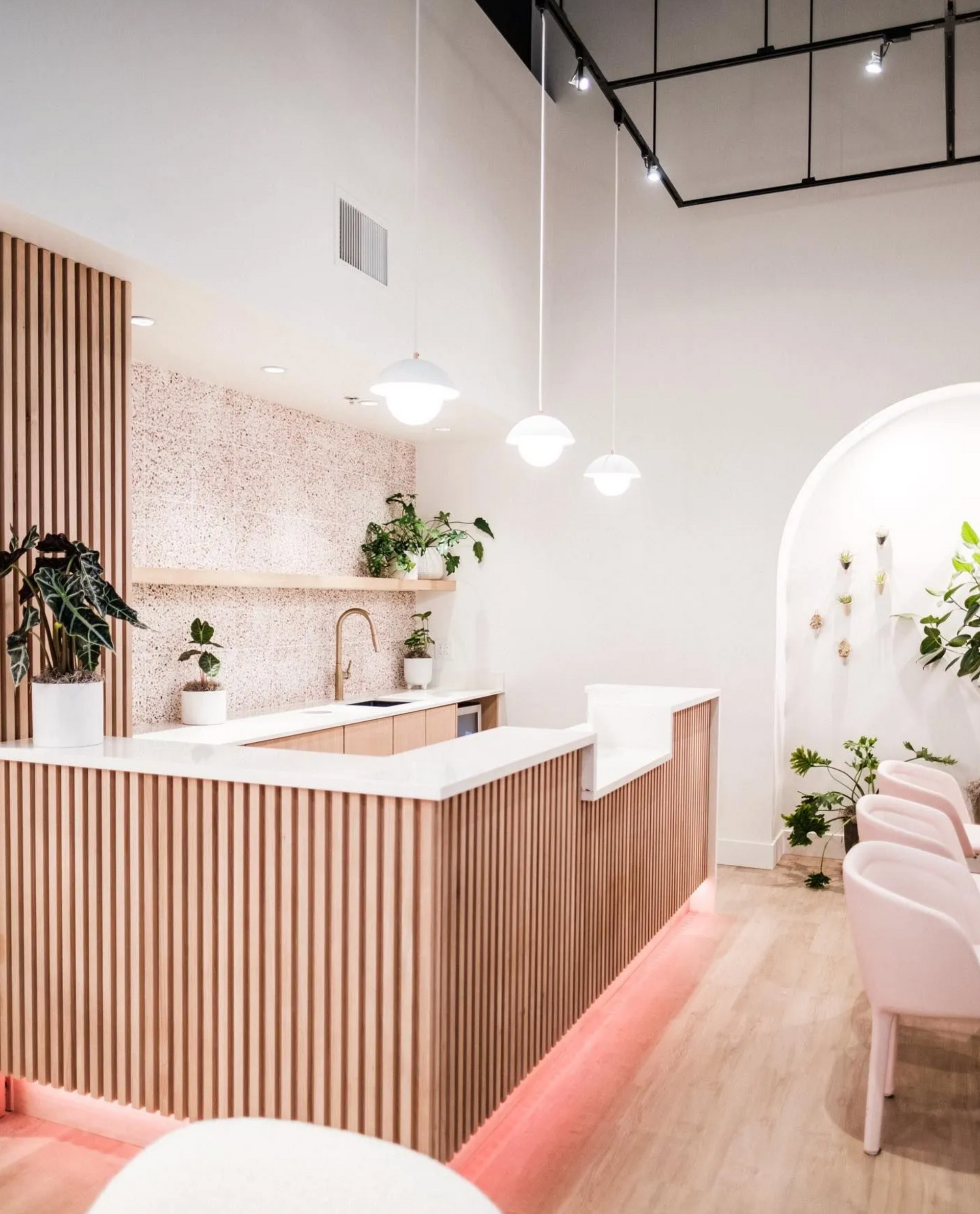 Reception area: pink and wood tones, terrazzo wall, plants, hanging lights.