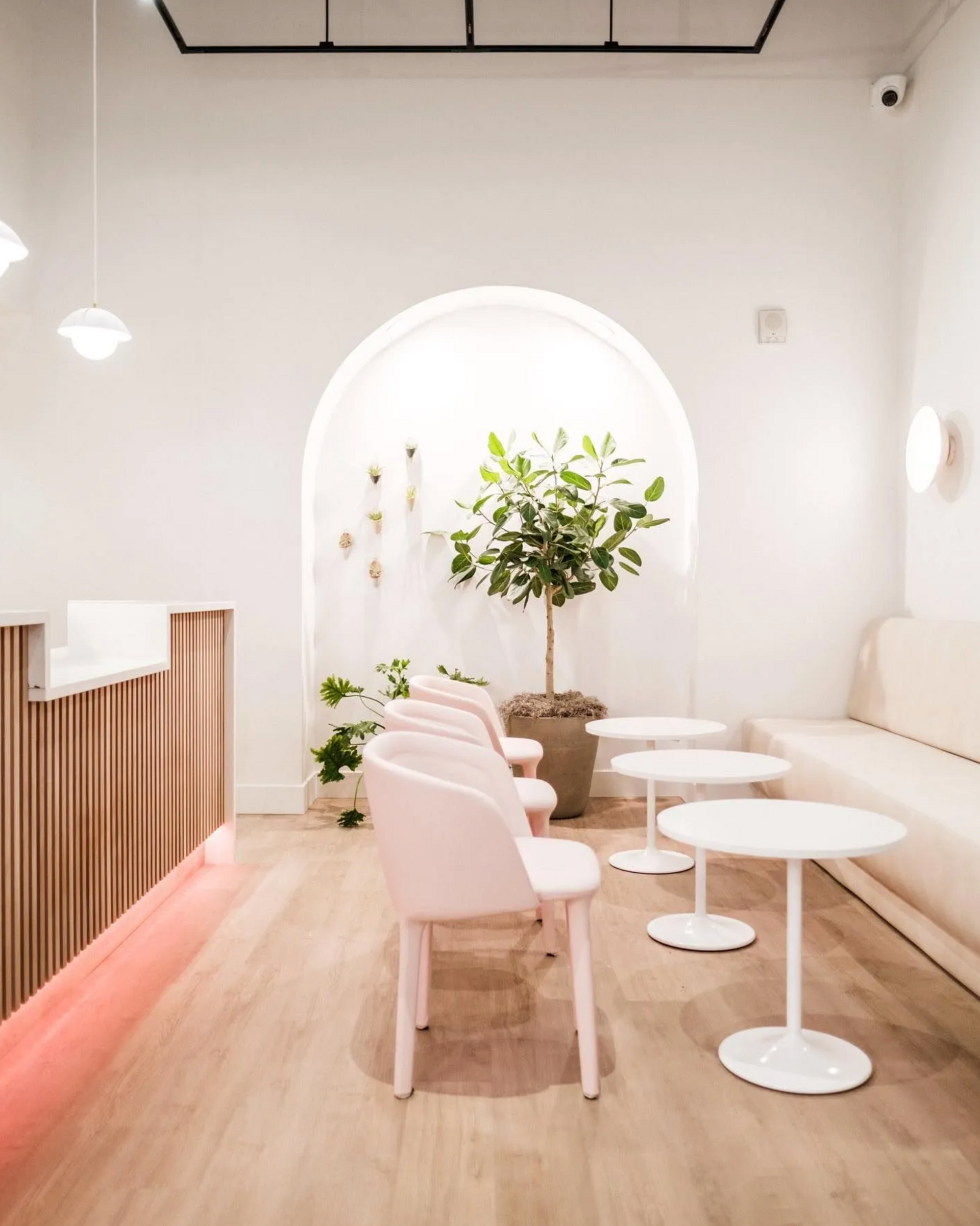 A light and airy cafe with pink chairs, white tables, and a large plant in an archway.