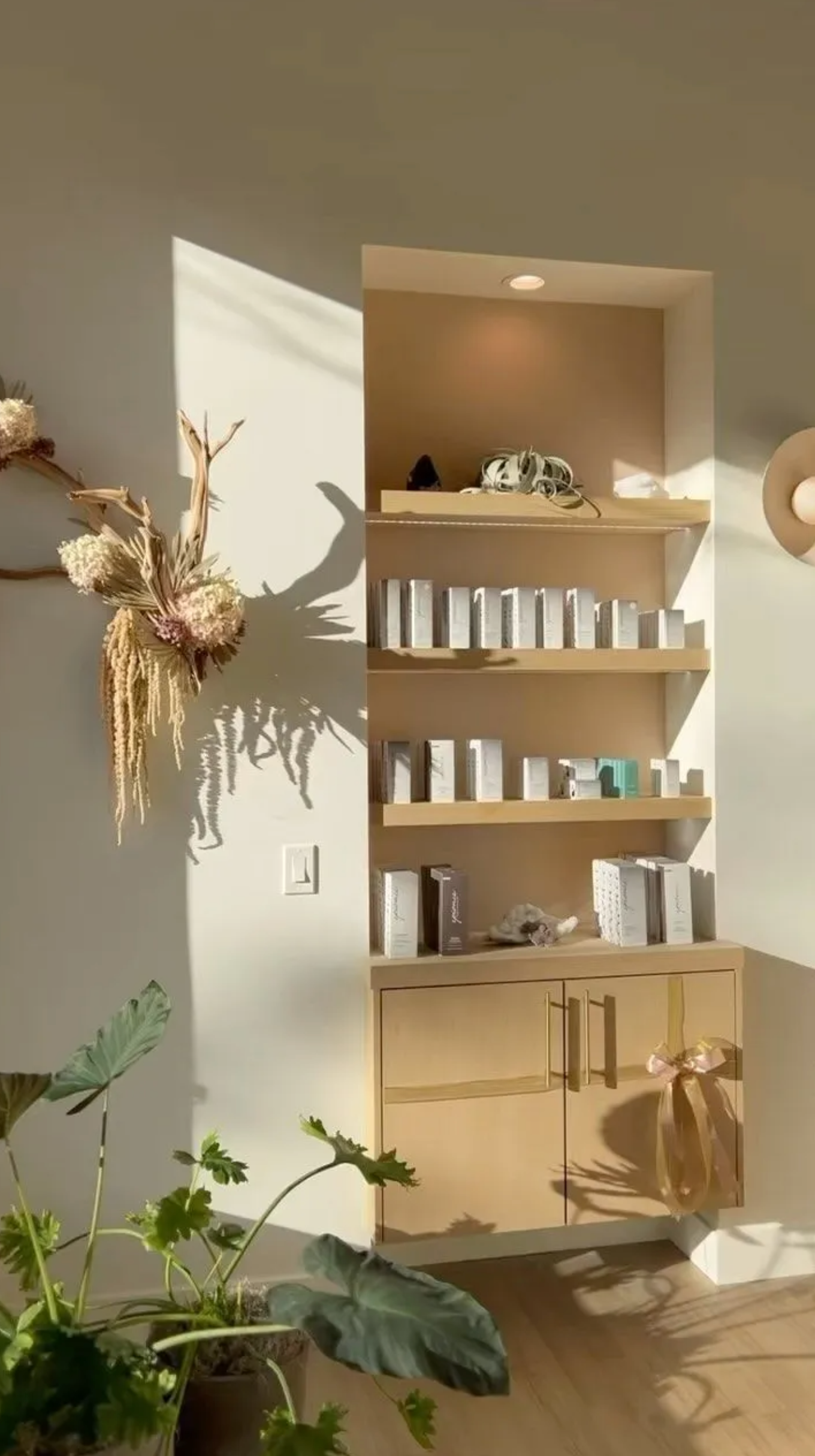 Shelves stocked with skincare products, built into a wall in a sunlit room.