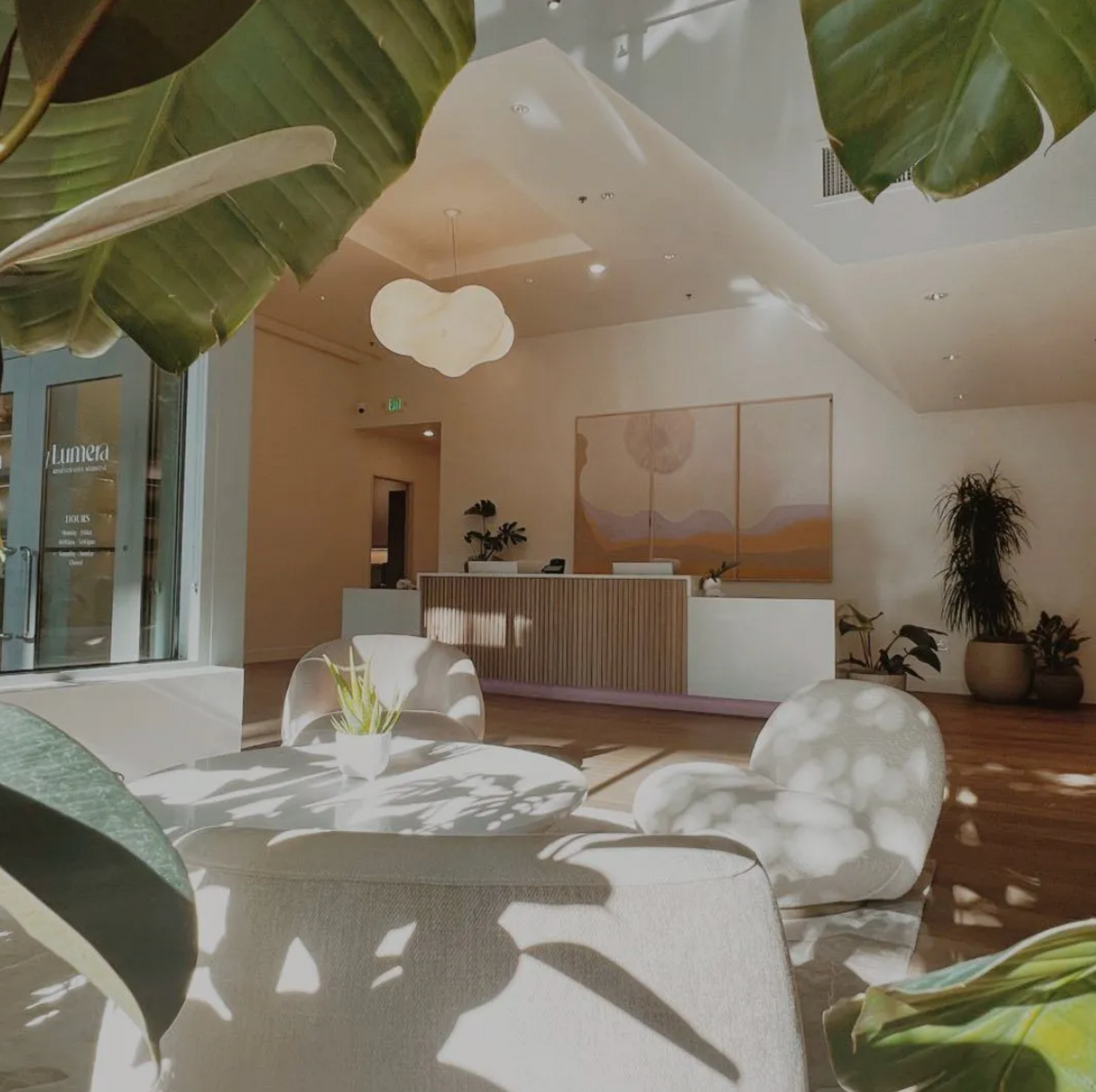 Interior with white chairs, wooden desk, and plants. Light streams through windows.