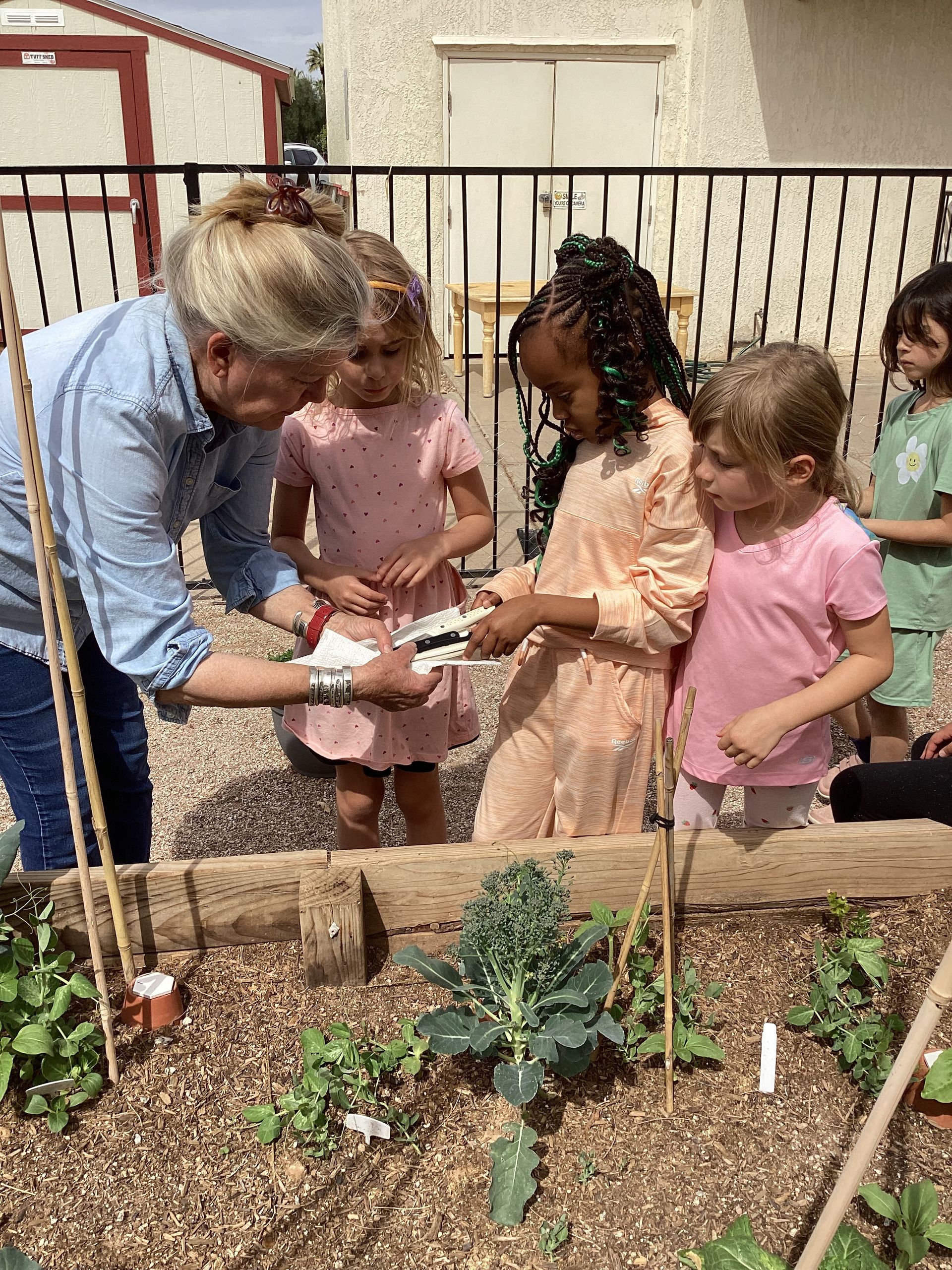 Elementary Program | St. Peter´s Montessori School