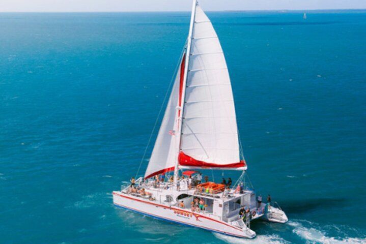 Key West: Dolphin Watching cruise & Snorkeling unlimited beer & soda