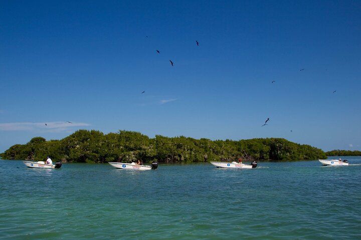 Key West Safari Eco Tour