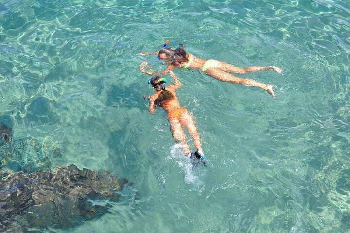 Key West: Snorkel Safari Tour
